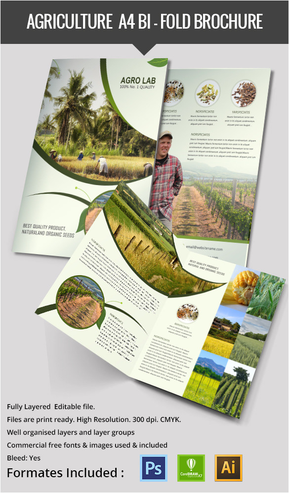 Free Agriculture Flyer Templates 16 Agriculture Templates Designs Free Psd Ai Cdr