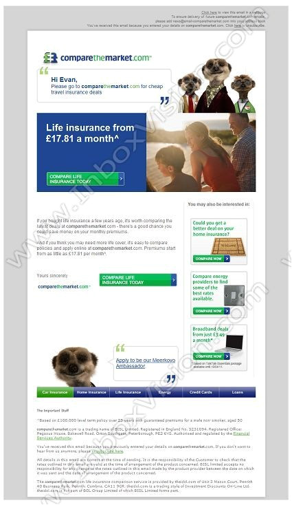 email design insurance