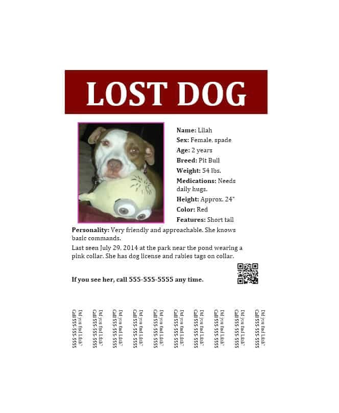 lost pet flyers