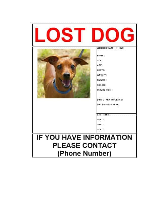 lost pet flyers
