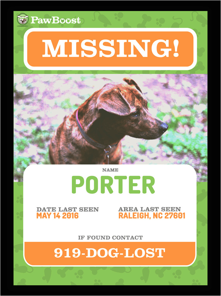 lost pet flyer template