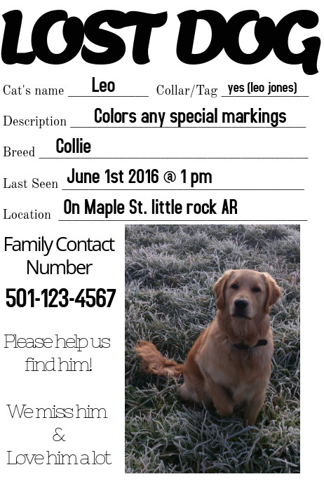 lost dog missing loved one family flyer template