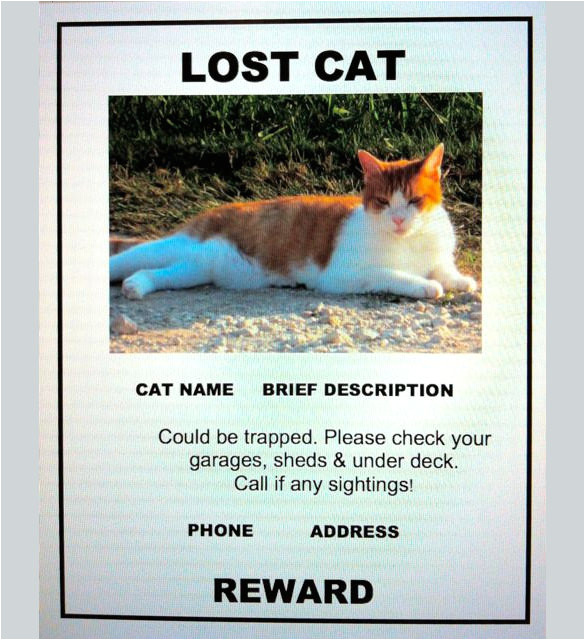 lost pet flyer