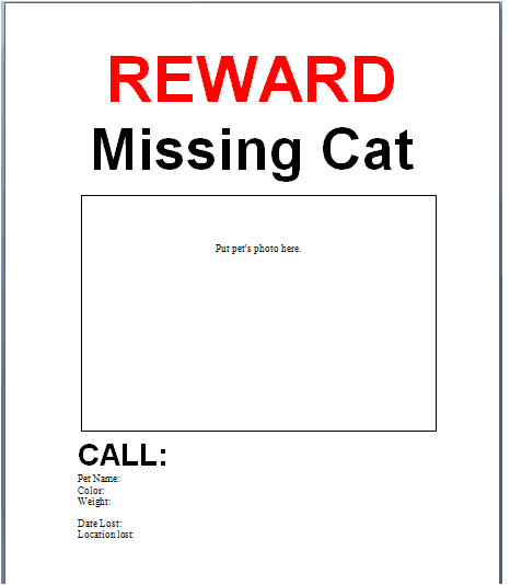missing cat poster template