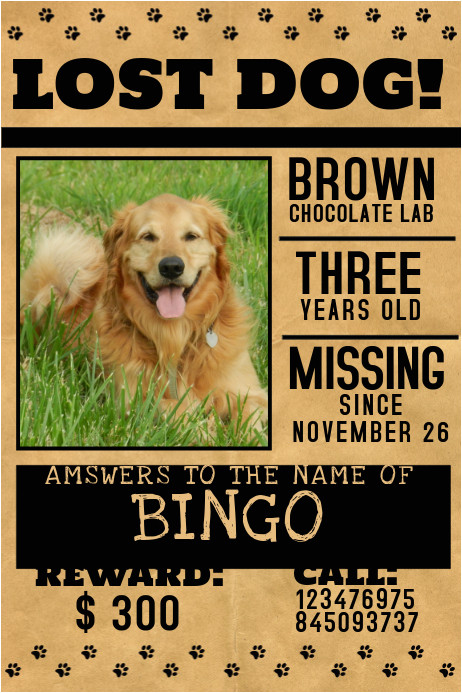 Missing Animal Flyer Template Customize 510 Pets Flyer Templates Postermywall