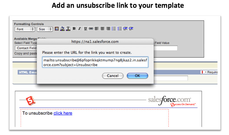 use email opt field salesforce