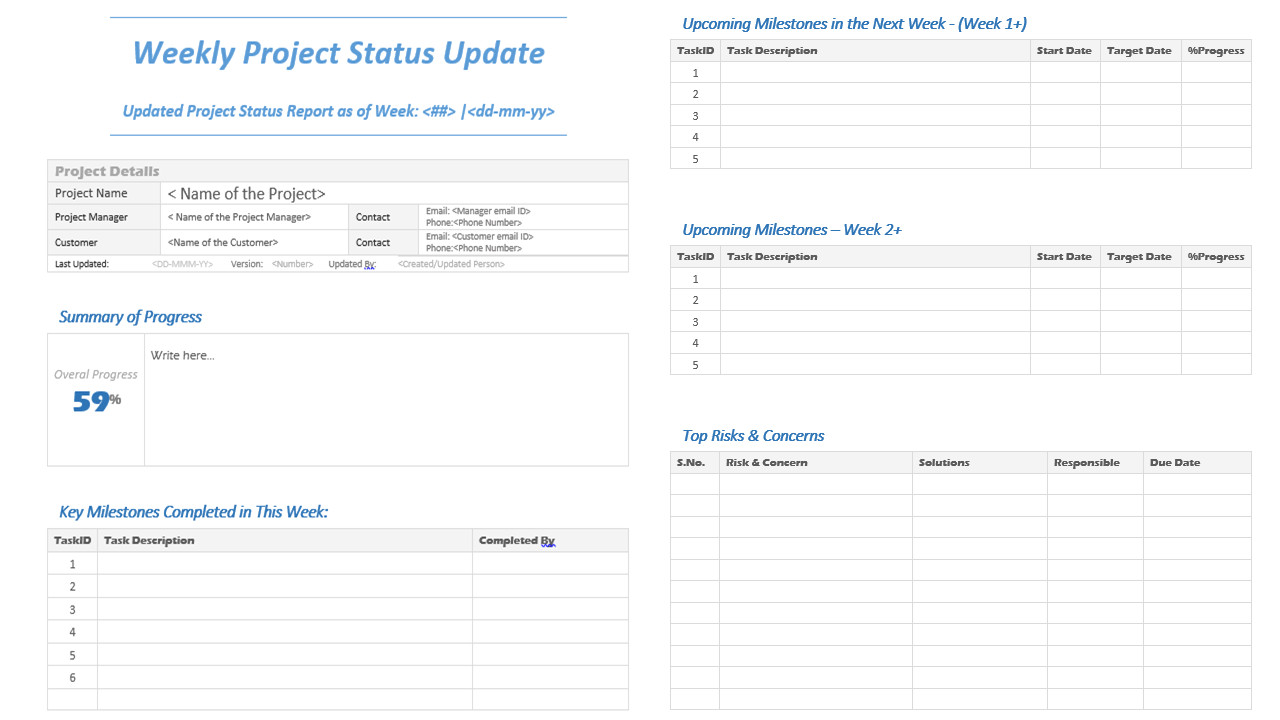 weekly project status update