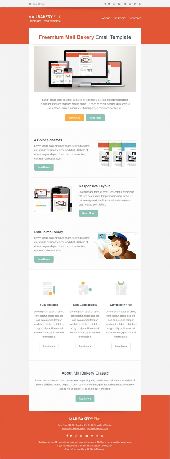 free html email template