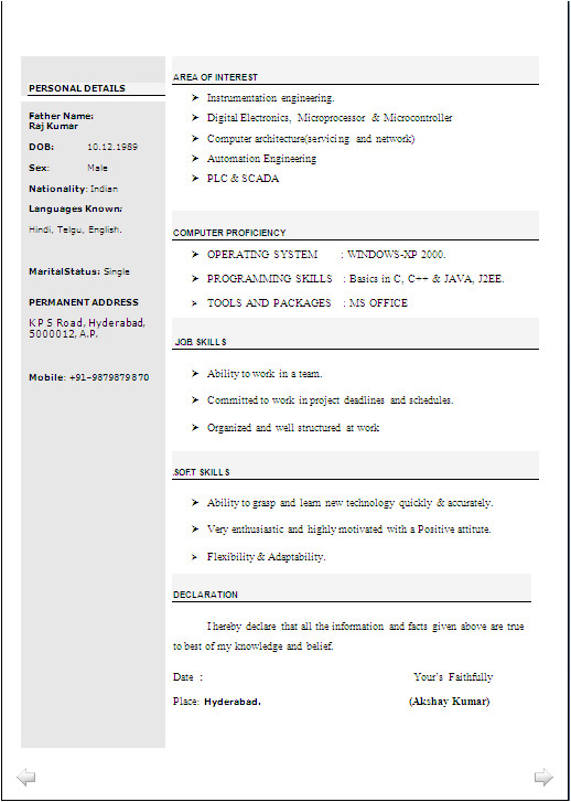 beautiful resume format in word doc of