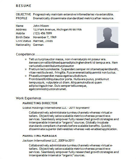 Basic It Resume Sample Sample Basic Resume 21 Documents In Word