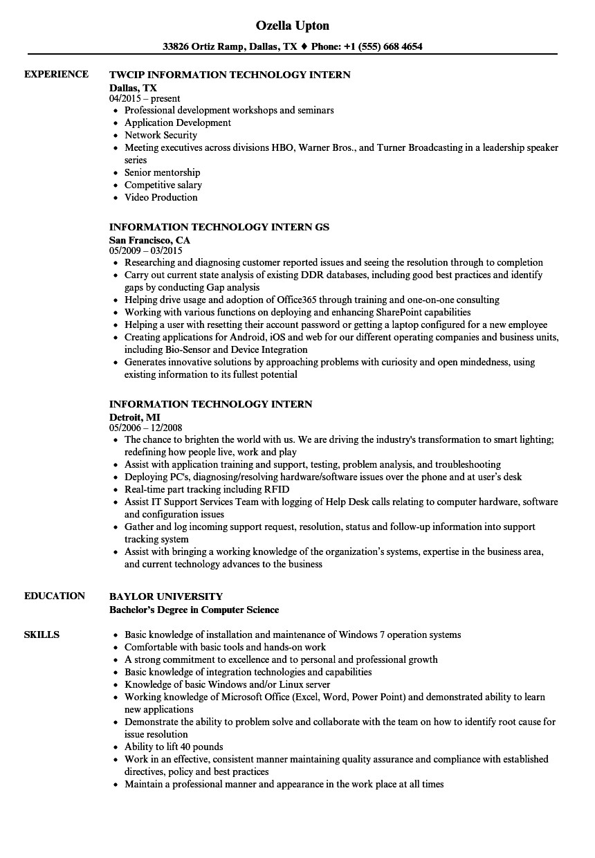 information technology intern resume sample