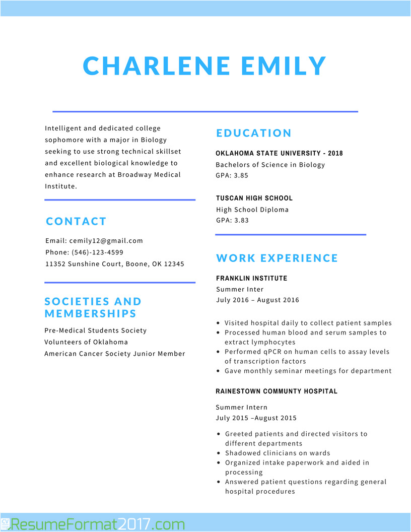 the best student resume format 2017