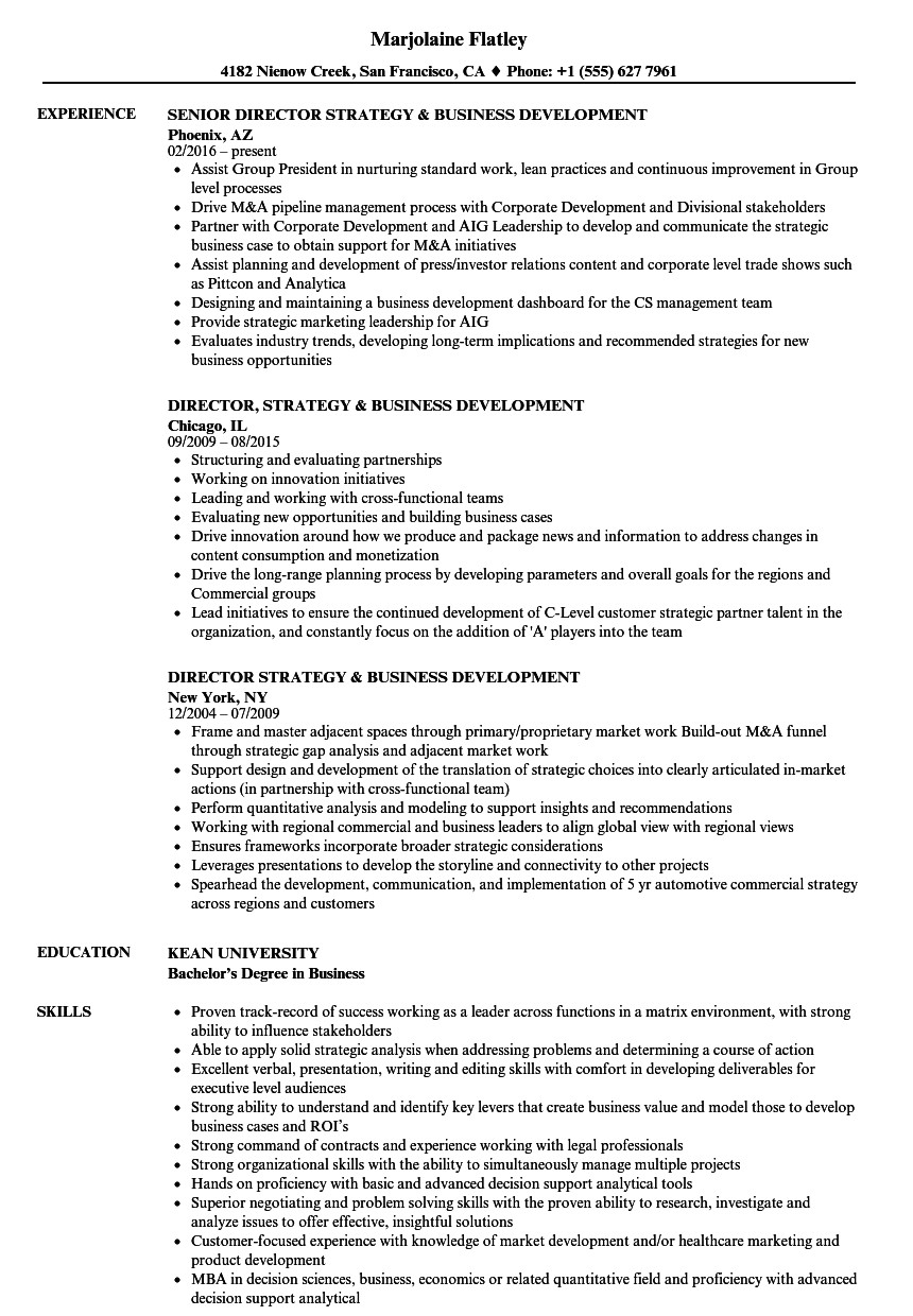 Business Development Resume Sample Business Development Resume Ipasphoto