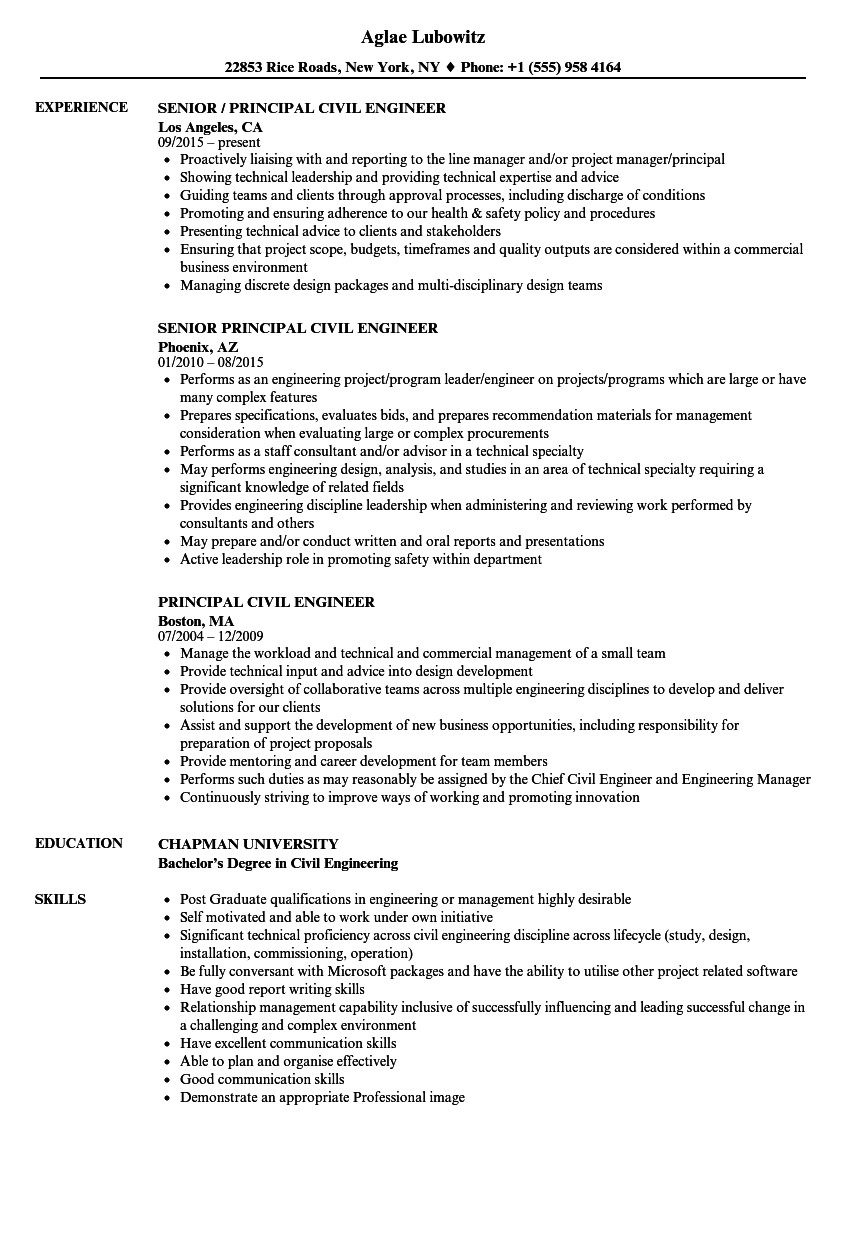principal civil engineer resume sample
