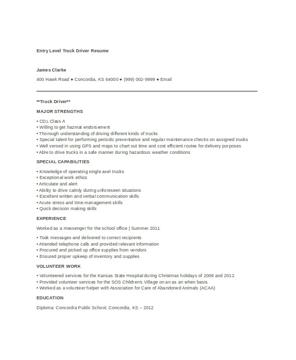 13 driver resume format in word