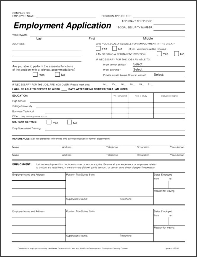 application form template word