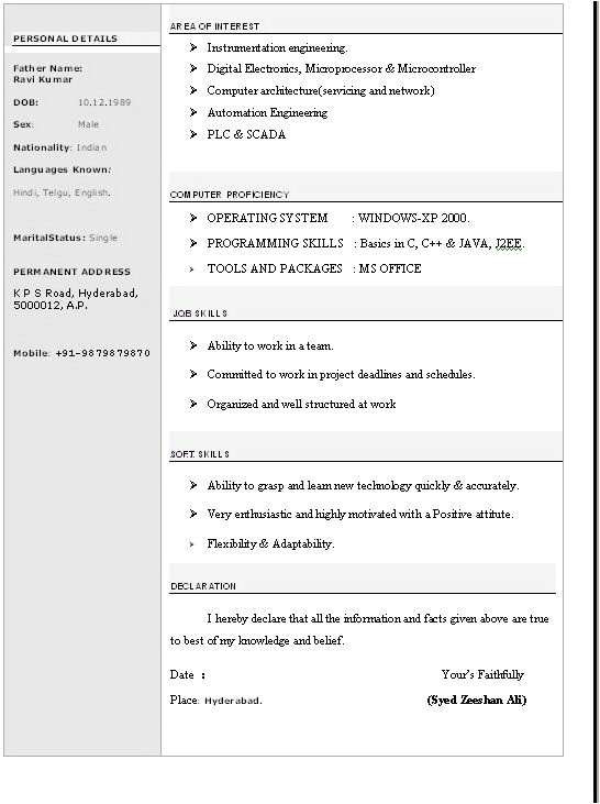 simple resume format download in ms word free
