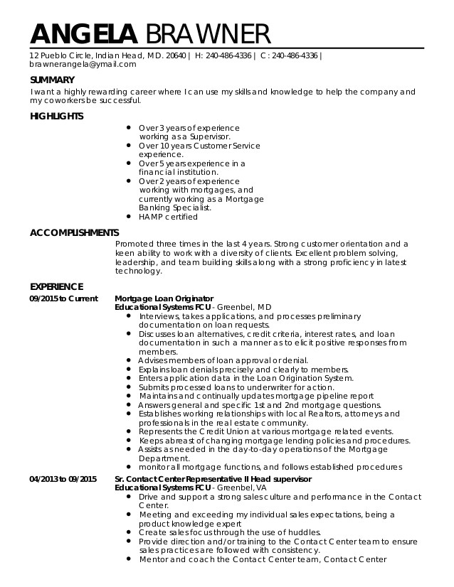 professional resume pdf 2015