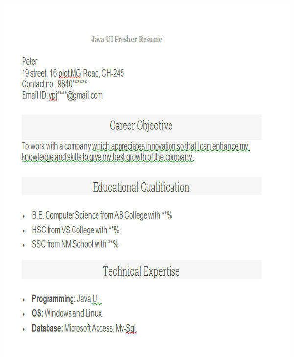 professional fresher resume