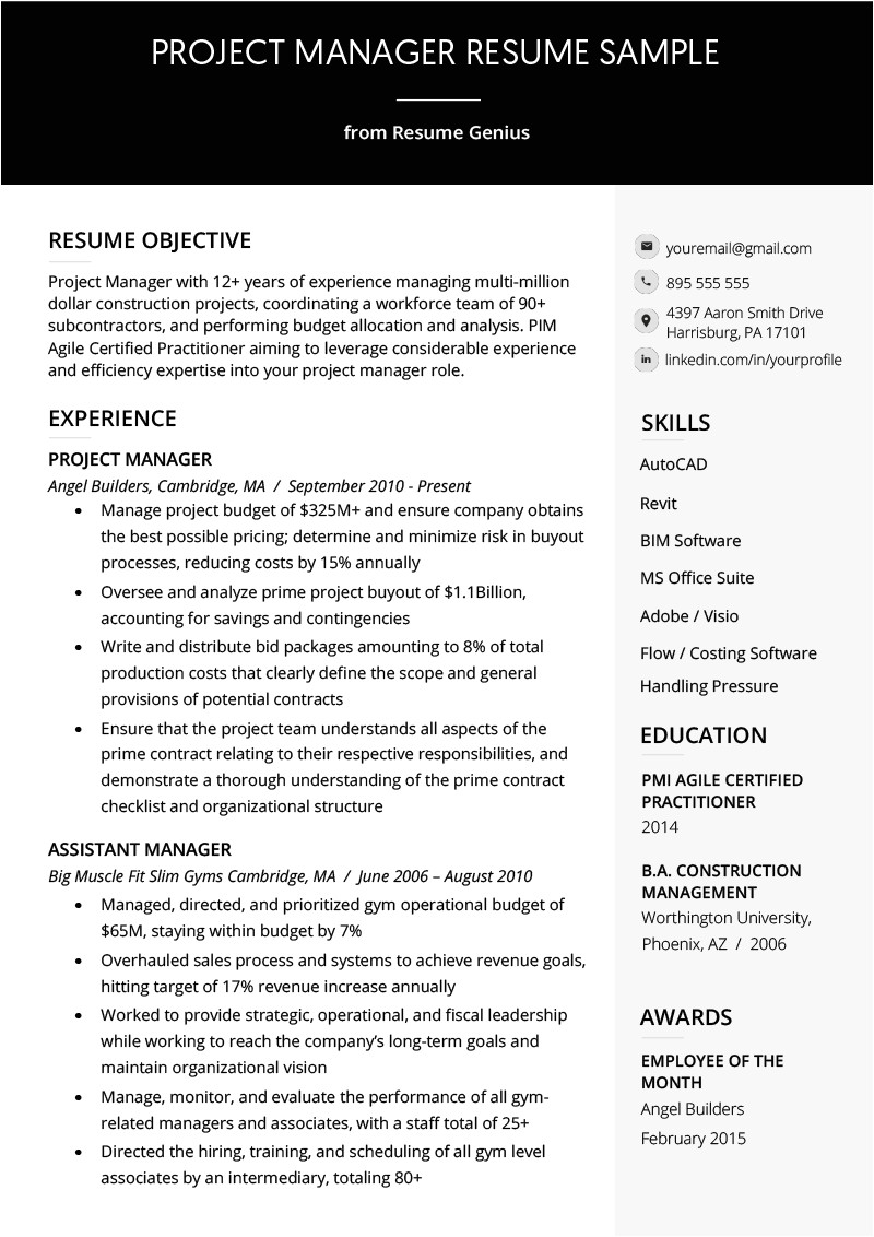project manager resume example