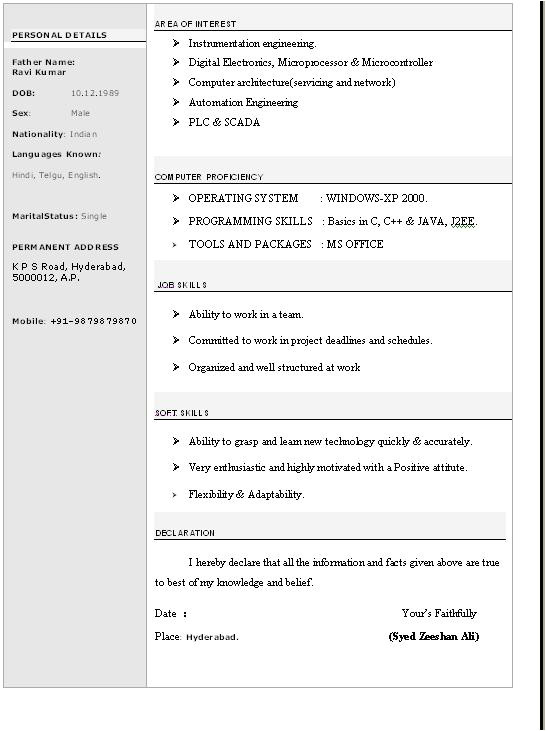 beautiful resume format in word free