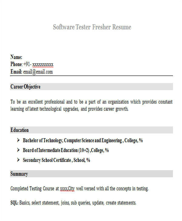 professional fresher resume