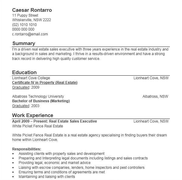 executive resume word