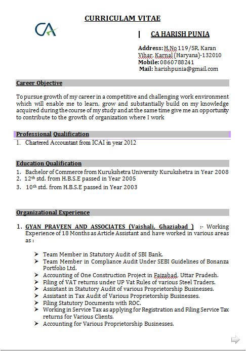 accounts resume format in word