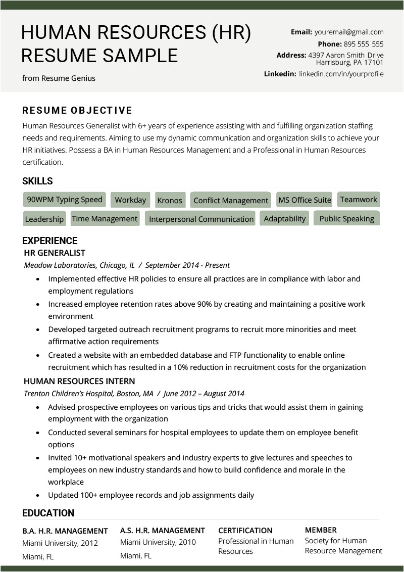 human resources hr resume example