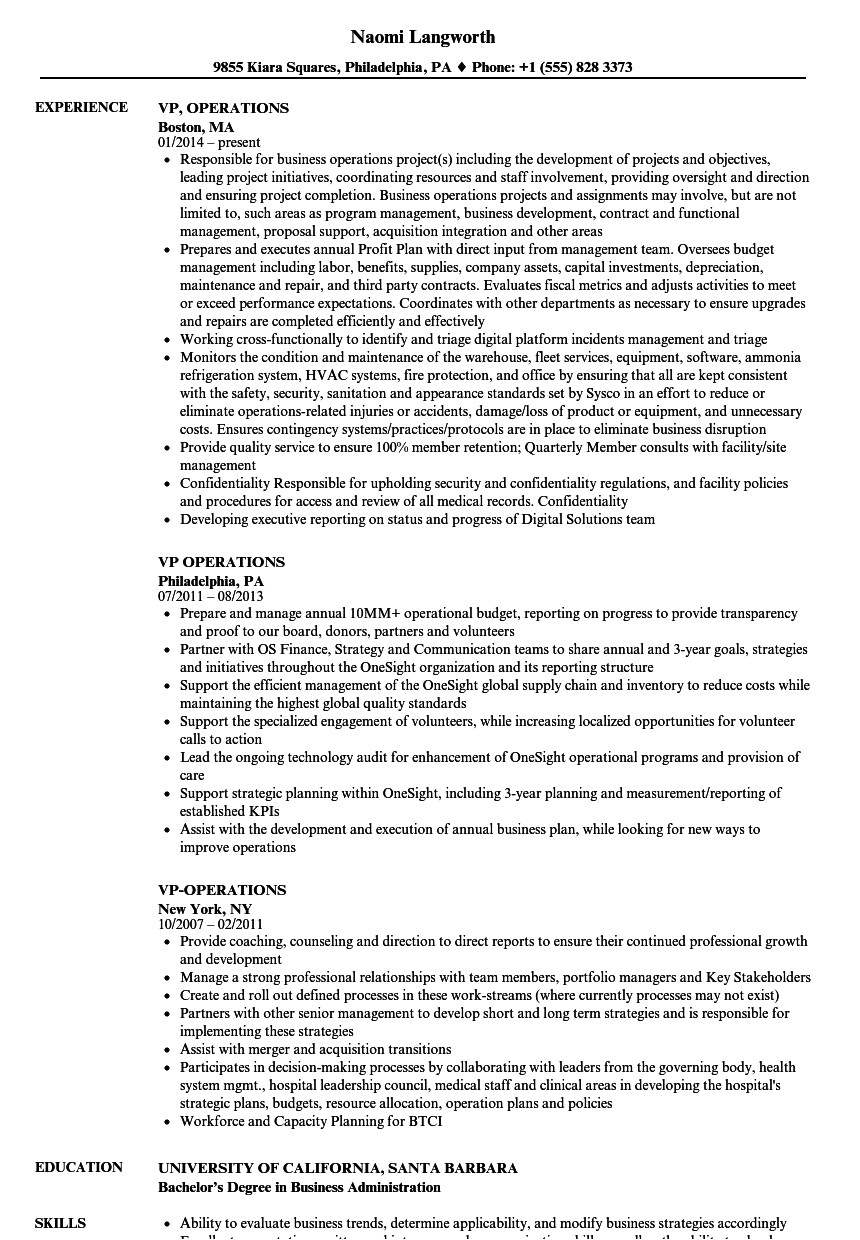 Sample Resume Vp Operations Vp Operations Resume Samples Velvet Jobs
