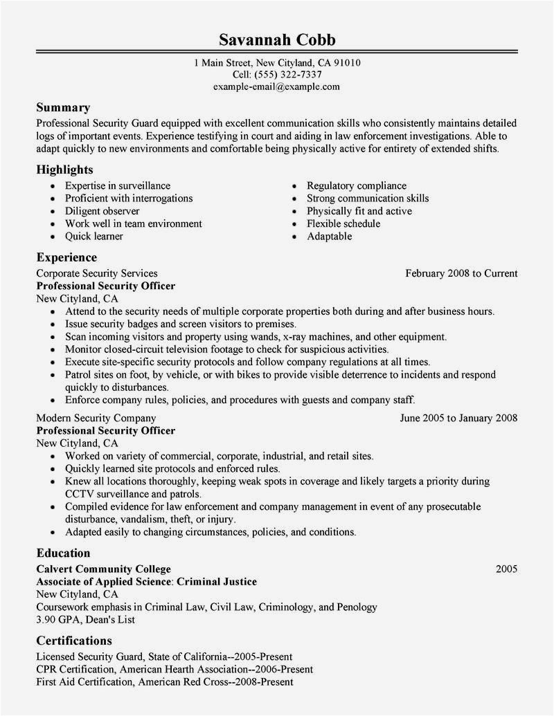 cv format for security guard