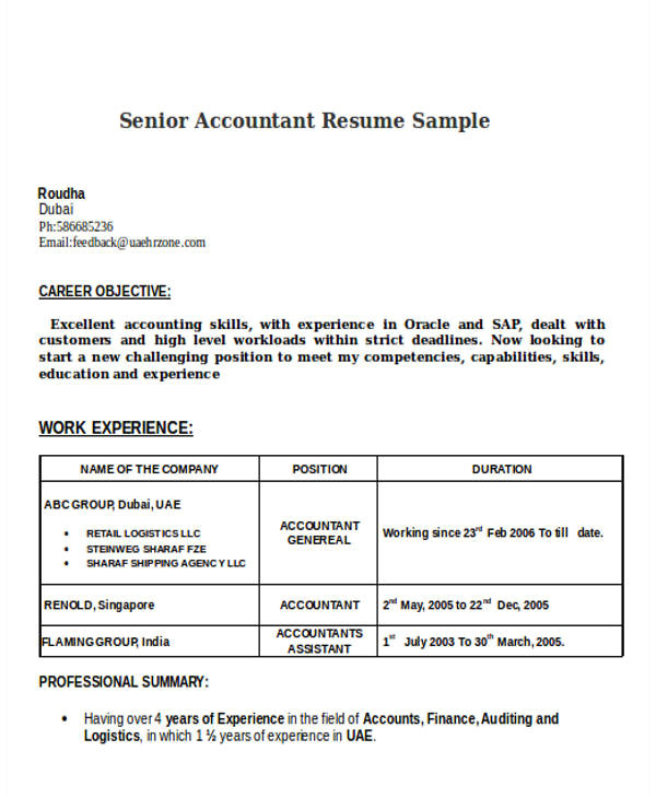 accountant resume doc