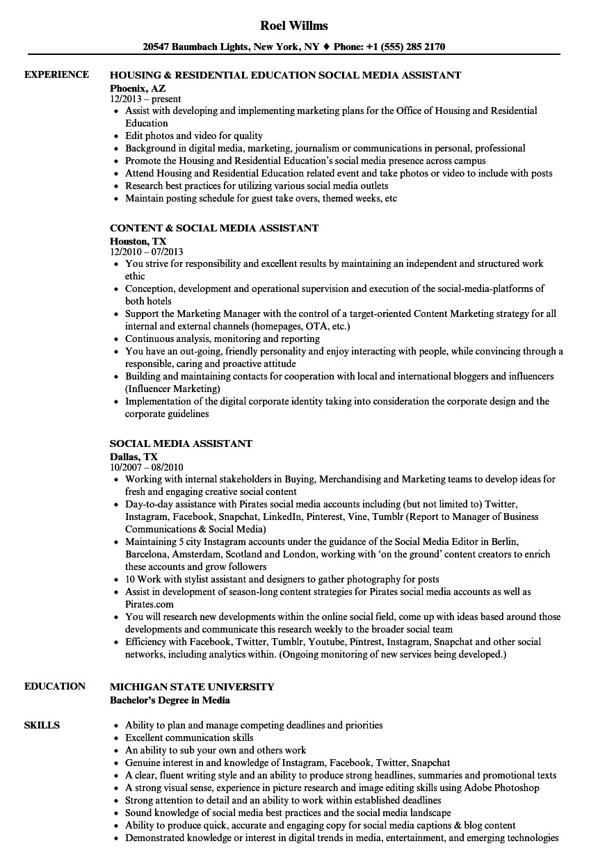 social media assistant resume sample