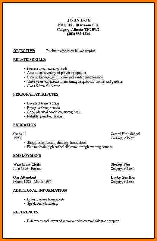 7 simple professional resume template
