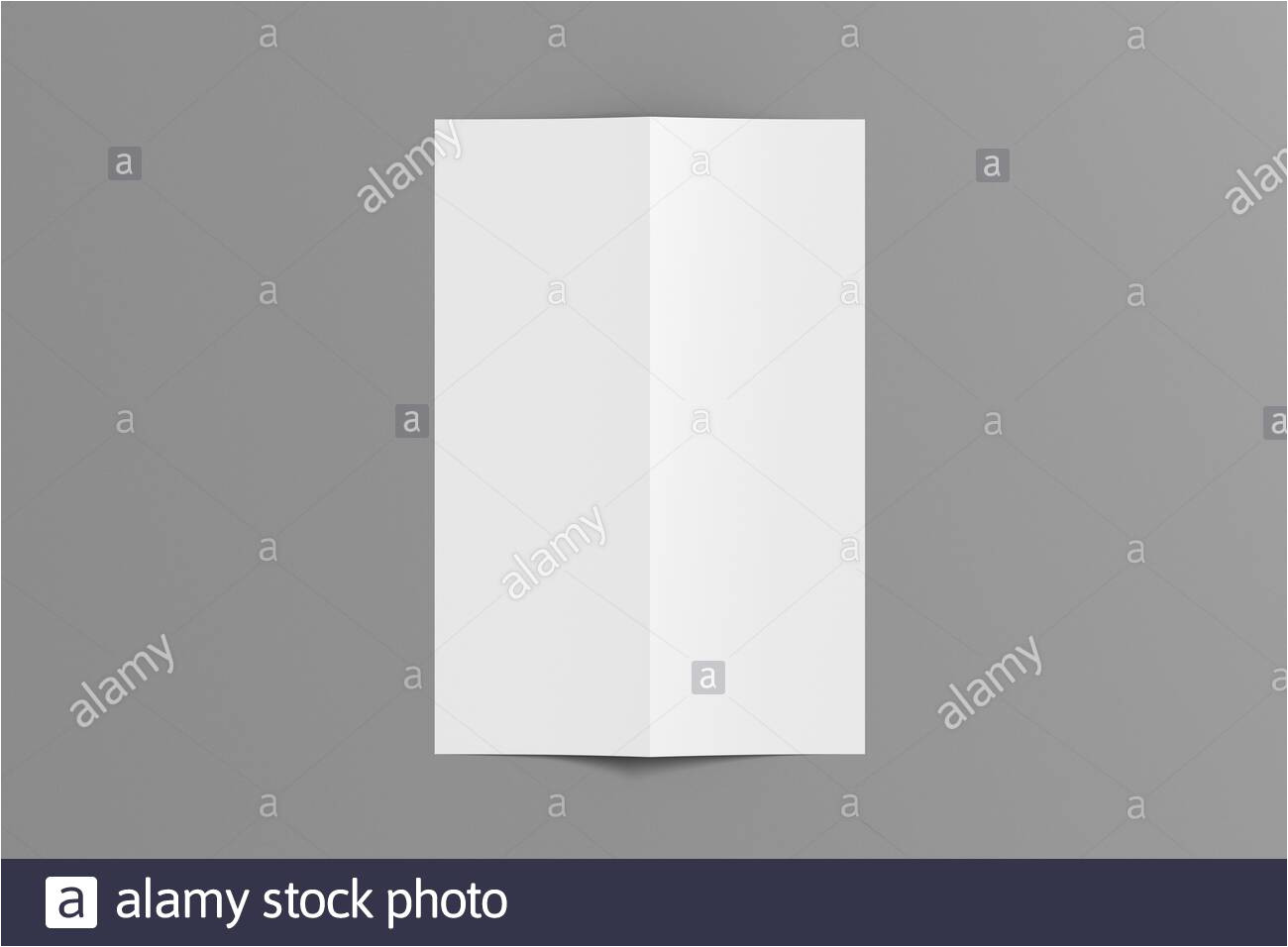 blank vertical a4 leaflet cover on gray background bi fold or half fold opened brochure isolated with clipping path view directly above 3d illustra 2bc9h9m jpg