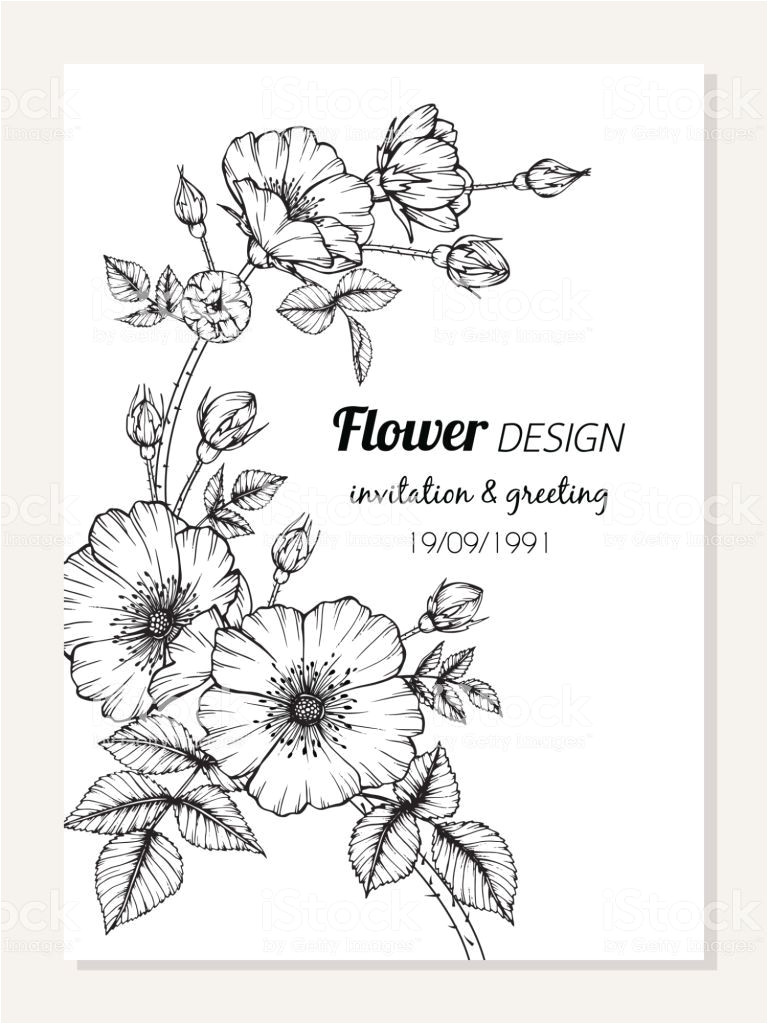 Card Flower Black and White Rose Flower Frame Drawing Illustration for Invitation and