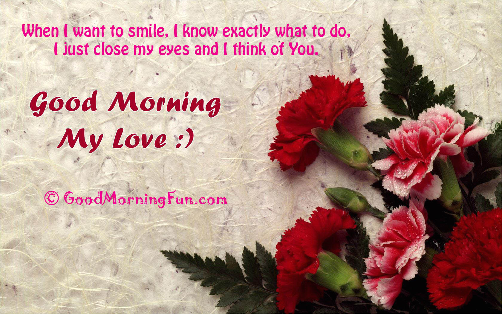 hd google morning roses pictures with love quotes jpg
