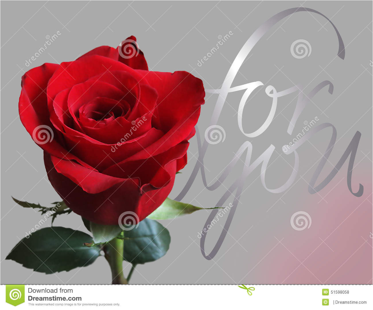 greeting card rose any kind events like valentine s mother s father s women s day name days birthdays 51598058 jpg